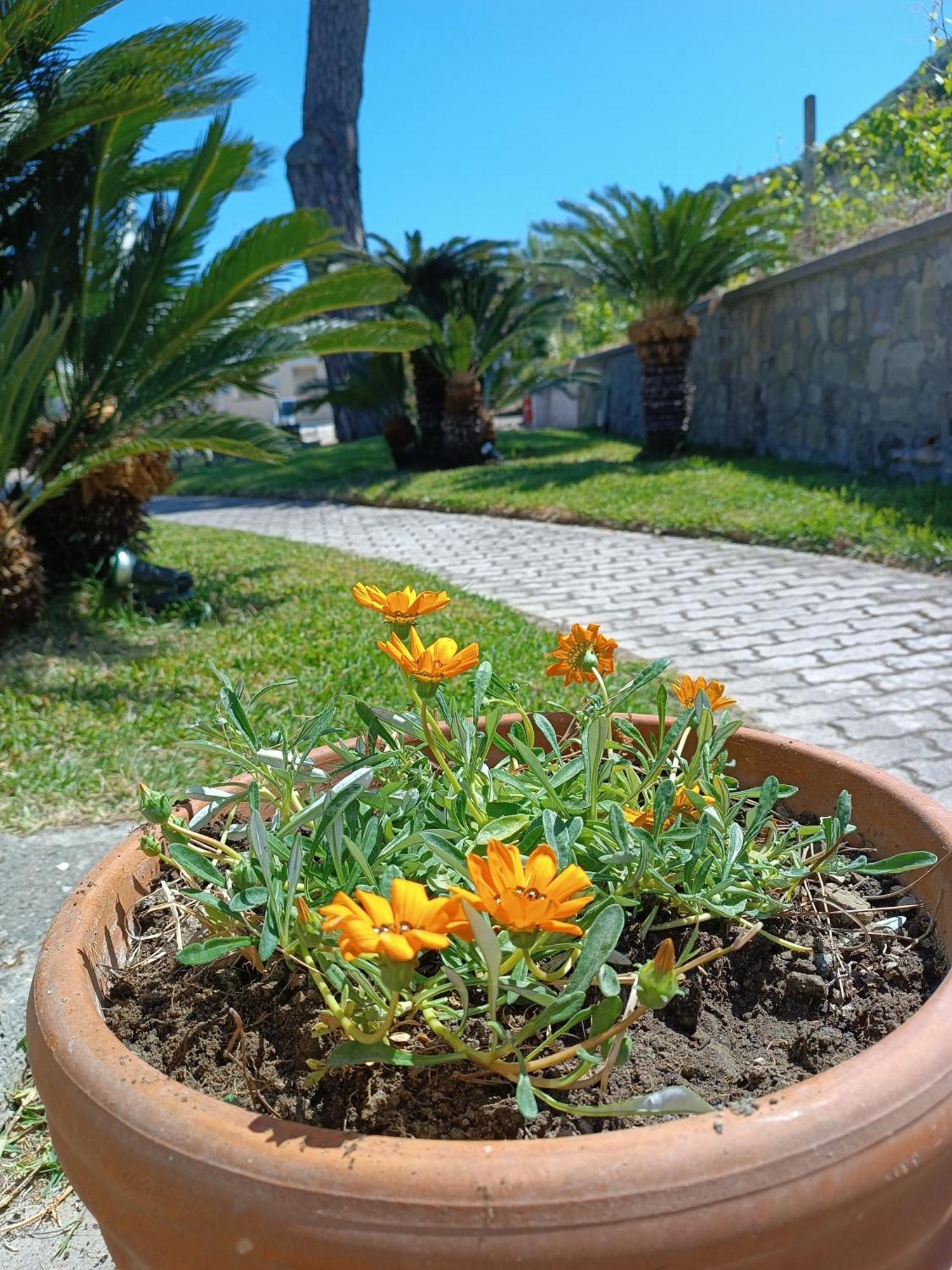 Residence Villa Olivia Forio di Ischia Exterior foto